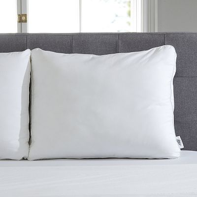 Sealy Down Alternative Memory Foam Pillow