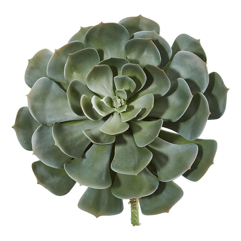 nearly natural Giant Echeveria Succulent Pick Artificial Plant (Set of 2), 