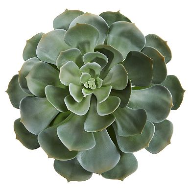 nearly natural Giant Echeveria Succulent Pick Artificial Plant (Set of 2)