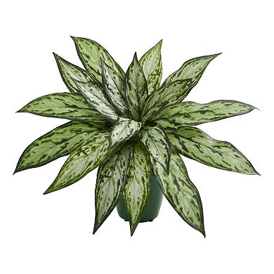 nearly natural Silver Queen Artificial Plant in Green Planter (Set of 2)