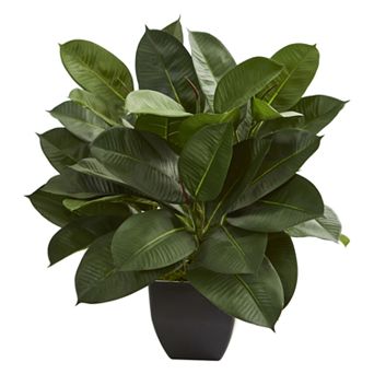 nearly natural Oak Ficus Artificial Plant
