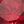 Created Ruby