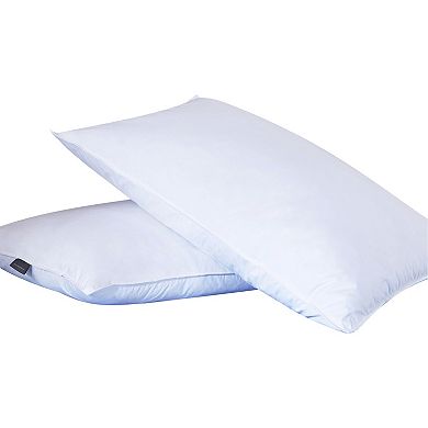 Dream On 2-pack Feather Pillow