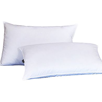 Dream On 2-pack Feather Pillow