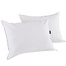 Dream On 2-pack White Goose Feather & Down Pillow