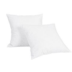 Lands' End Euro Pillow Insert, White