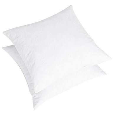 Dream On Euro Feather Pillow Insert