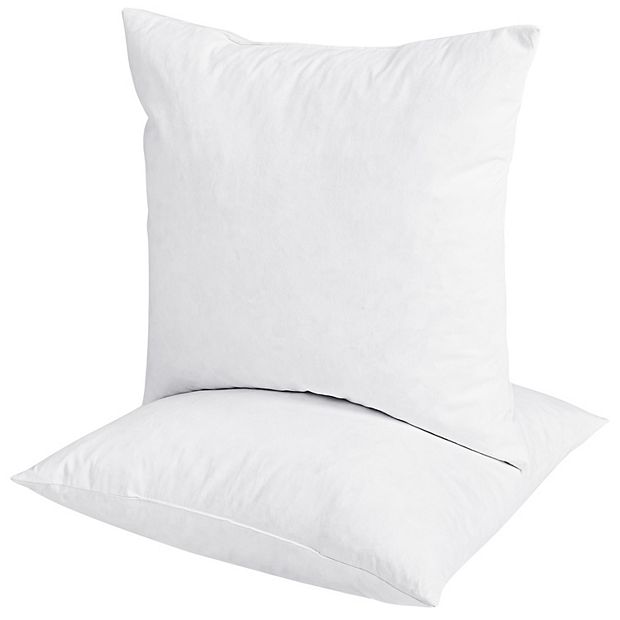 Dream On Euro Feather Pillow Insert