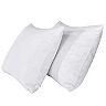Dream On 2-pack Feather & Down Blend Pillow