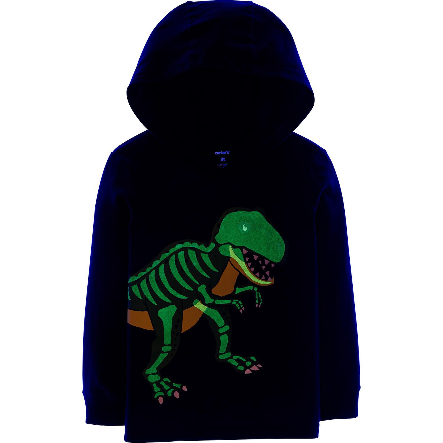 carter's dinosaur hoodie