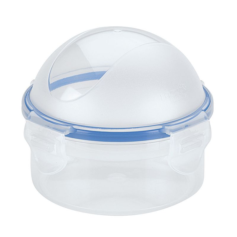 LocknLock Easy Essentials Specialty Onion Container, Clear
