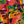 Black Guava Multi