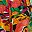 Black Guava Multi