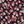 Navy Red Multi
