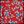 Red Multi