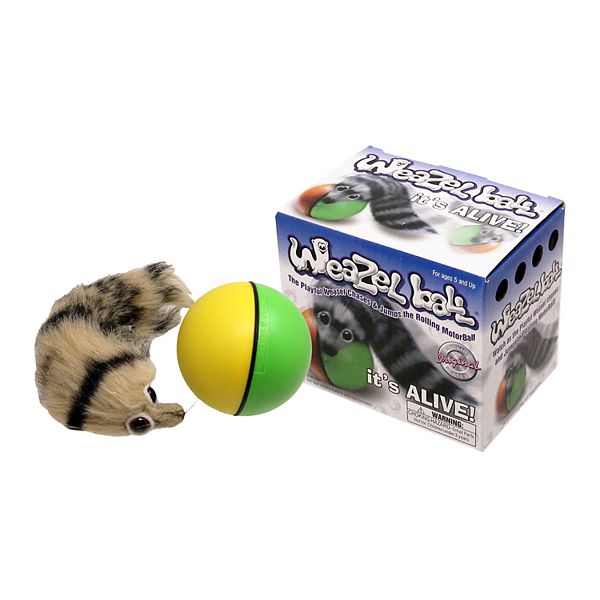 Weazel Ball Motorized Ball Pet Toy For Ages 3 and Up