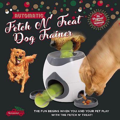 Original Fun Factory Automatic Fetch Treat Dispenser