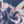 Navy Blossom