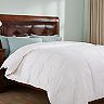 Dream On All Season White Down Comforter with Cotton Shell