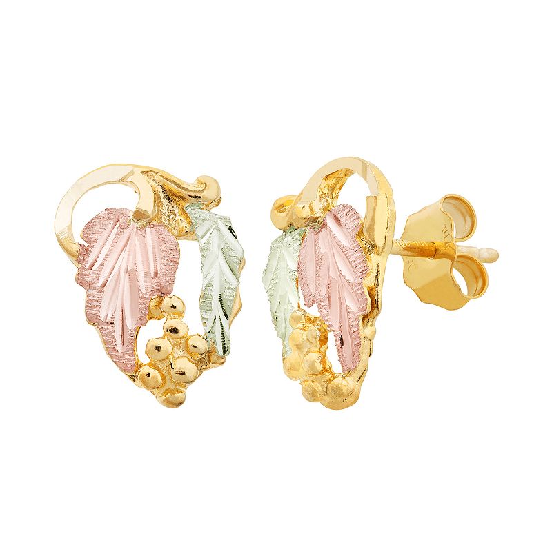 Black Hills Gold Tri-Tone Leaf Stud Earrings, Womens, Yellow