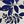 Blue Joy Leaves