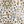 Ivory Autumn Tile