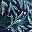 Navy Pine Boughs