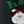 Santa Ho Ho Ho