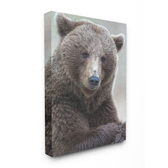 Stupell Home Decor Most Interesting Bear Canvas Wall Art