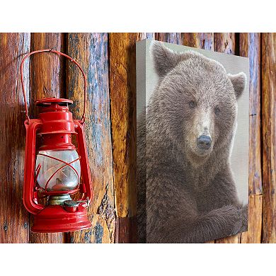 Stupell Home Decor Most Interesting Bear Canvas Wall Art
