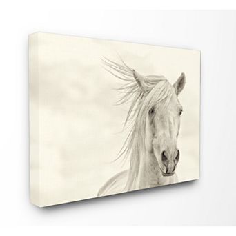Stupell Home Decor Horse Canvas Wall Decor