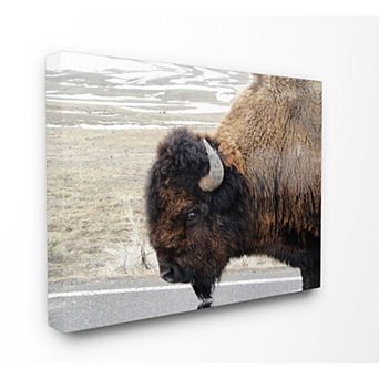 Stupell Home Decor Buffalo Canvas Wall Art