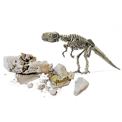 excavation kit dinosaur 3d skeleton