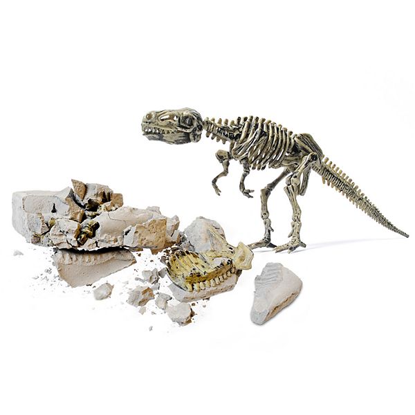Dig & Discover 3D Dinosaur Skeleton UNEARTH THE BONES EDUCATIONAL 