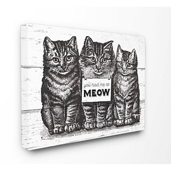 Stupell Home Decor Had Me At Meow Canvas Wall Art