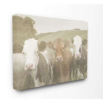 Stupell Home Decor Happy Neighbors Cows in the Field Stretched Canvas Wall Art