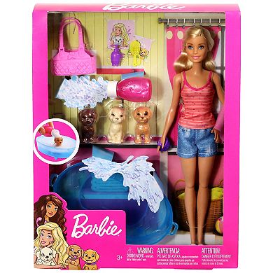 Barbie Doll & Accessories