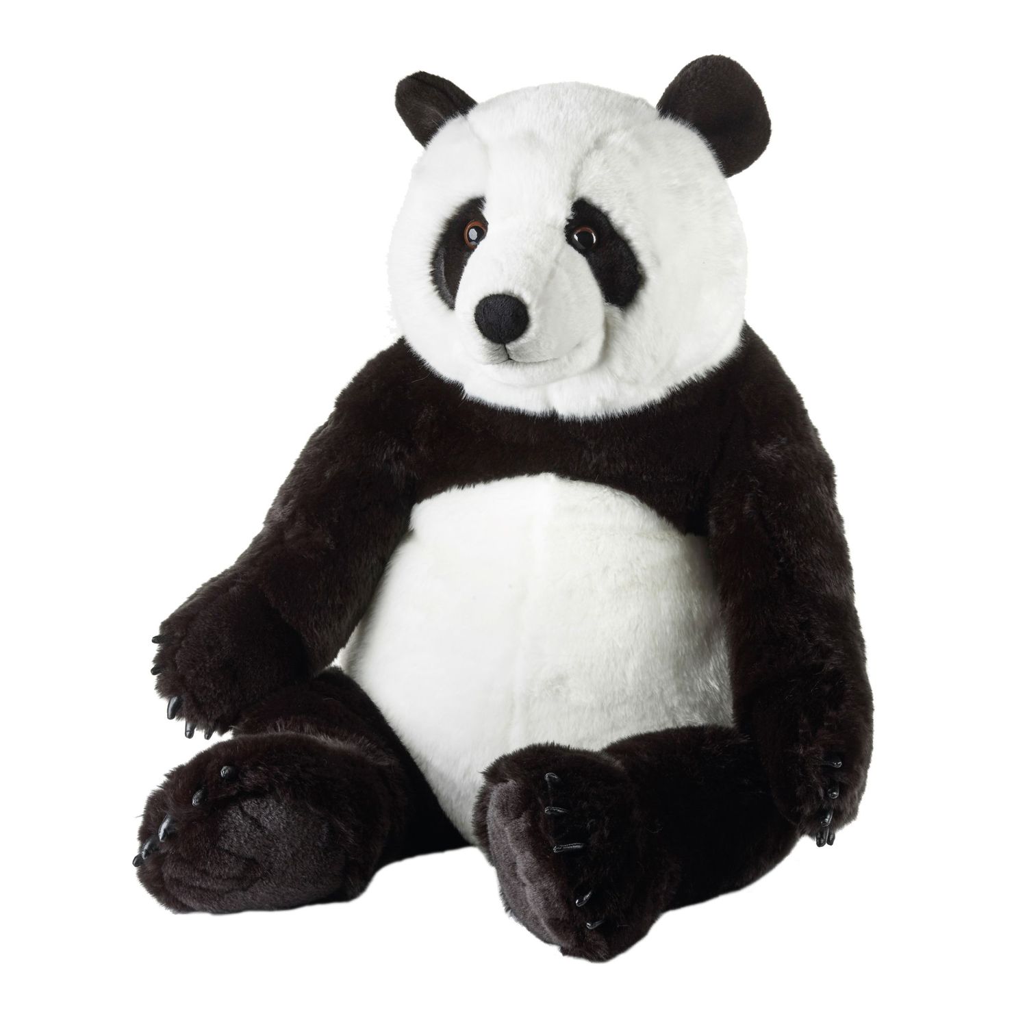 giant panda teddy