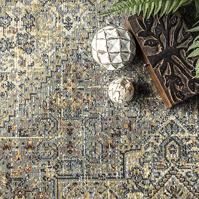nuLOOM Traditional Carol Medallion Area Rug