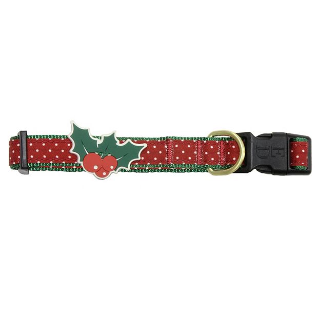 Ellen degeneres sale dog collar