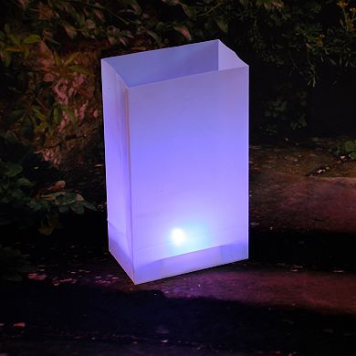 LumaBase Color Changing Battery Operated LED Light Set
