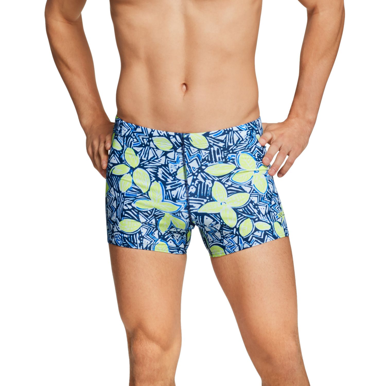 speedo swimsuit men's