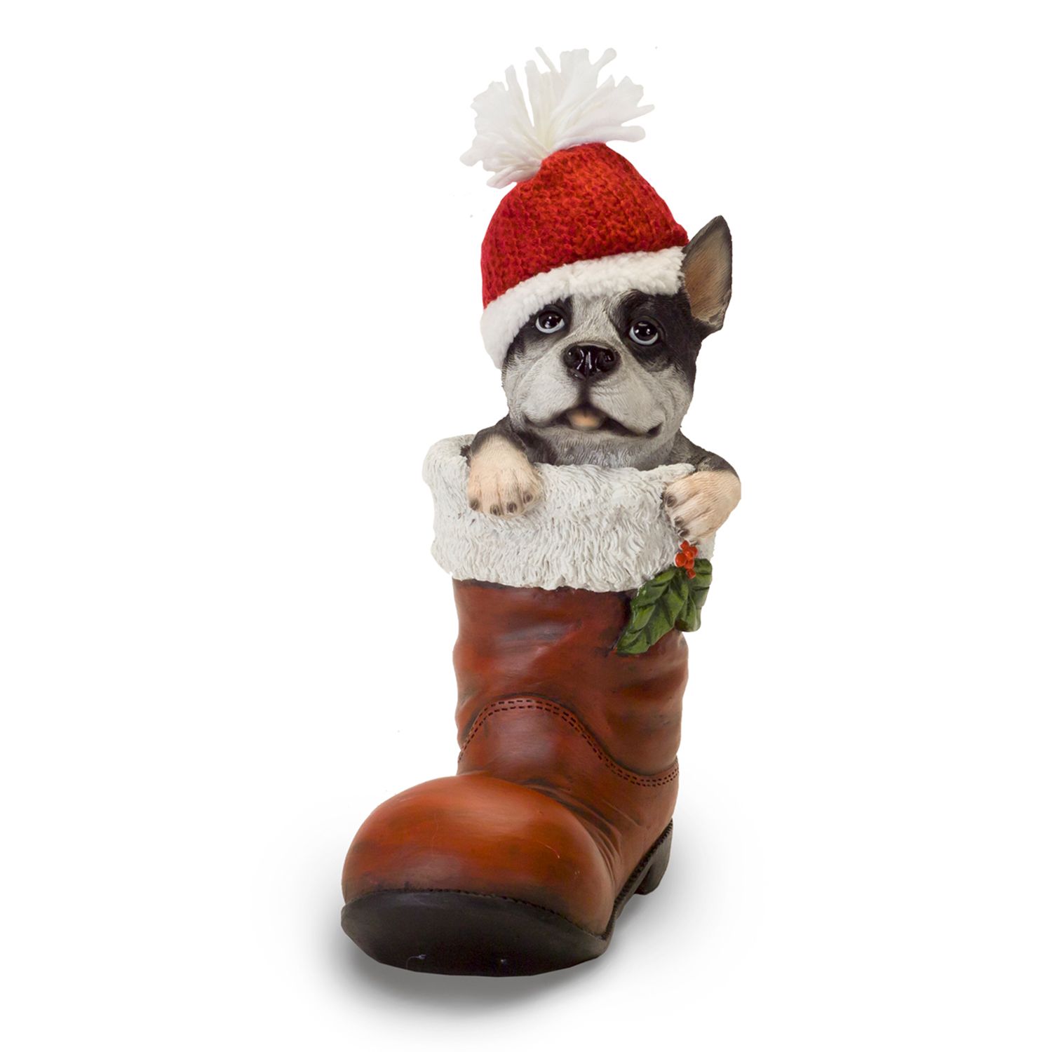 boots for boston terrier