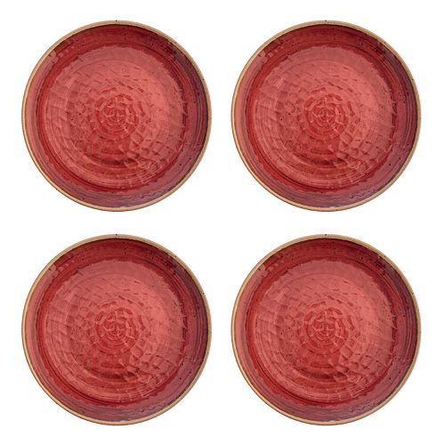 Food Network™ 4pc. Melamine Dinner Plate Set