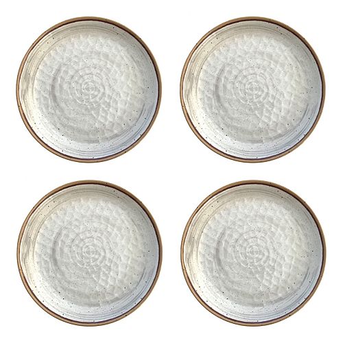 Food Network™ 4pc. Melamine Dinner Plate Set