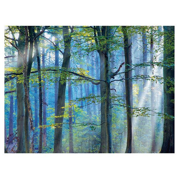 Fine Art Canvas Enchanted Forest Canvas Wall Art