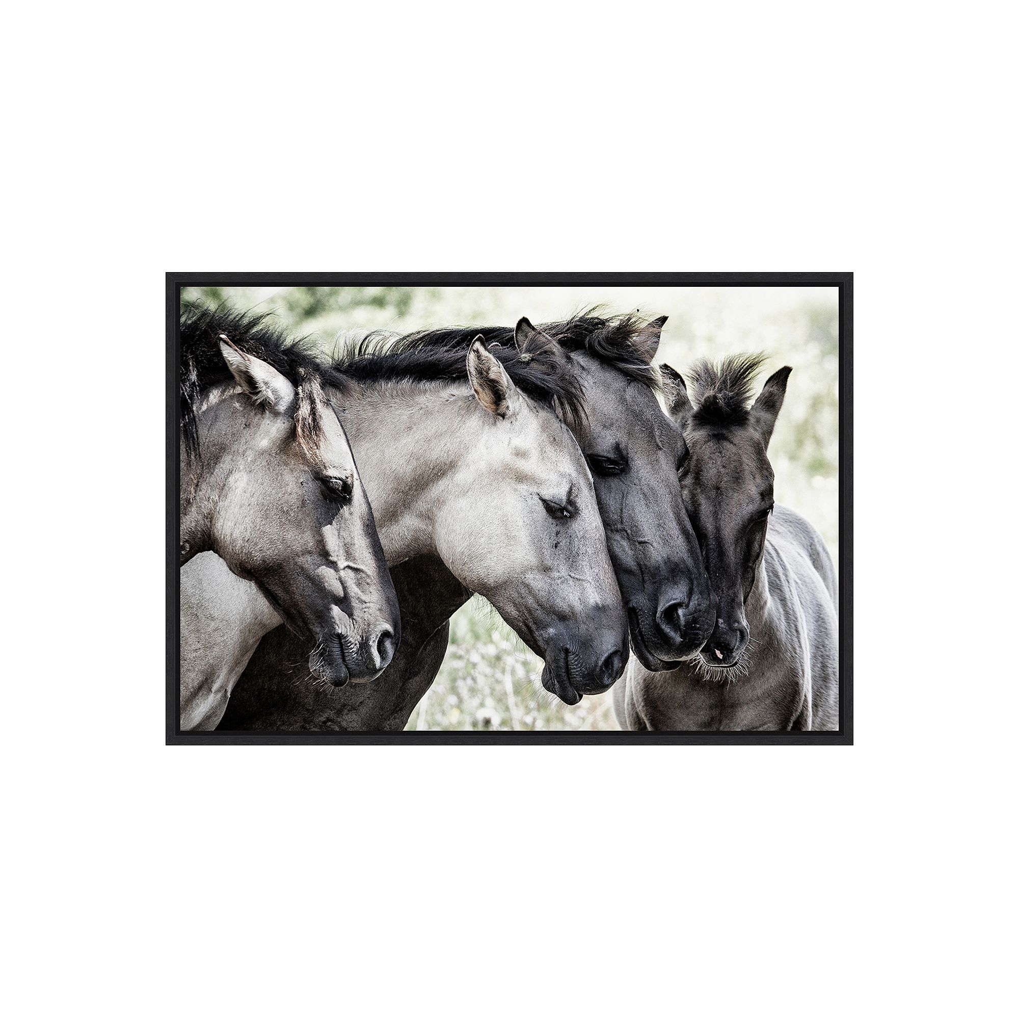 Amanti Art Four Konik Horses Framed Canvas Wall Art, Black