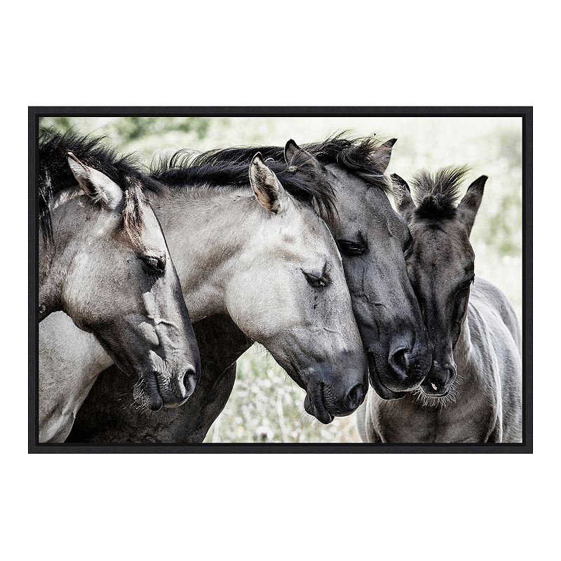 Amanti Art Four Konik Horses Framed Canvas Wall Art, Black