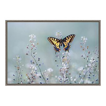 Amanti Art Swallowtail Beauty Framed Canvas Wall Art