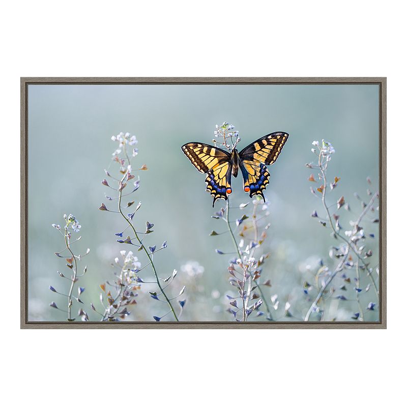 Amanti Art Swallowtail Beauty Framed Canvas Wall Art, Grey